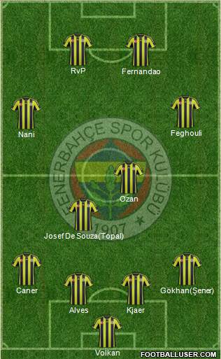 Fenerbahçe SK Formation 2015