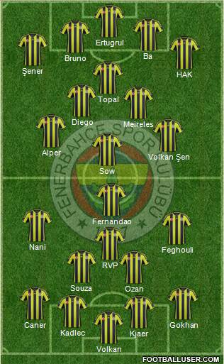 Fenerbahçe SK Formation 2015