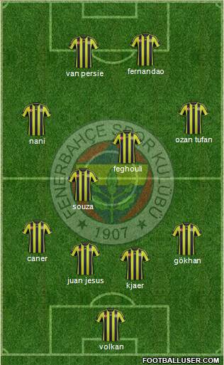 Fenerbahçe SK Formation 2015