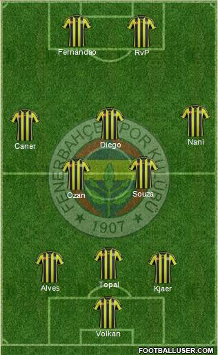 Fenerbahçe SK Formation 2015