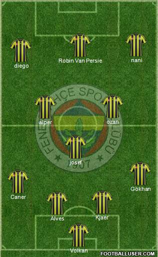 Fenerbahçe SK Formation 2015