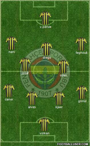 Fenerbahçe SK Formation 2015