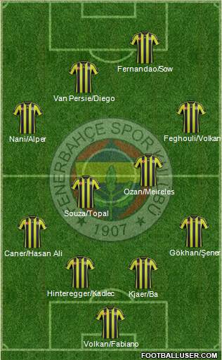 Fenerbahçe SK Formation 2015