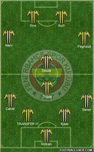 Fenerbahçe SK Formation 2015