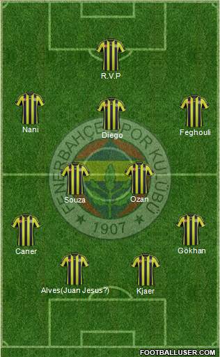 Fenerbahçe SK Formation 2015
