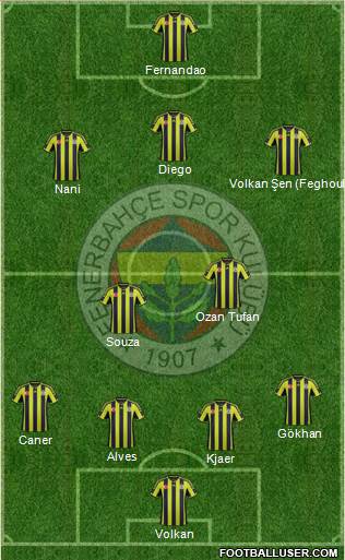 Fenerbahçe SK Formation 2015