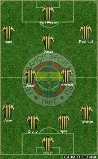 Fenerbahçe SK Formation 2015