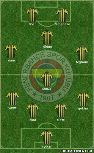 Fenerbahçe SK Formation 2015
