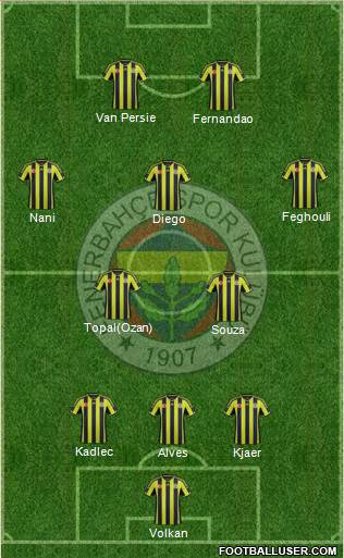 Fenerbahçe SK Formation 2015