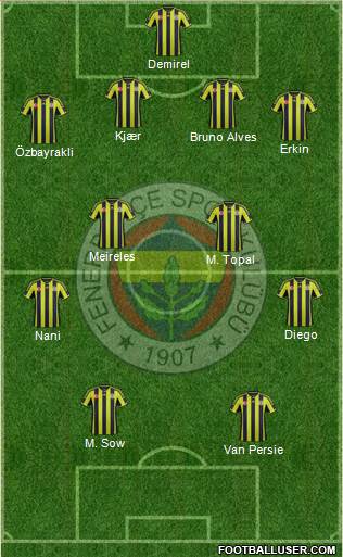 Fenerbahçe SK Formation 2015
