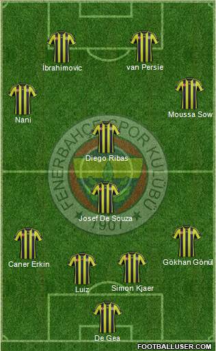 Fenerbahçe SK Formation 2015