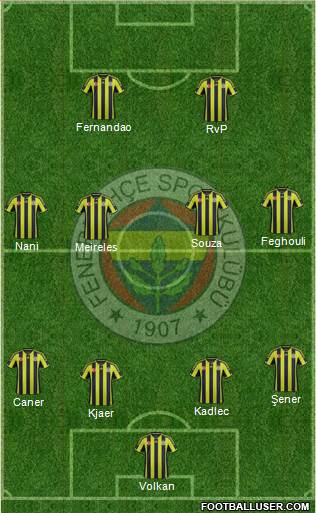 Fenerbahçe SK Formation 2015