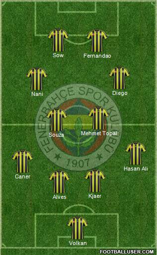 Fenerbahçe SK Formation 2015