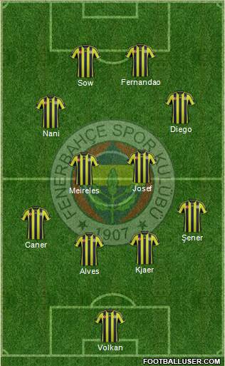 Fenerbahçe SK Formation 2015