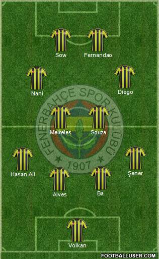 Fenerbahçe SK Formation 2015