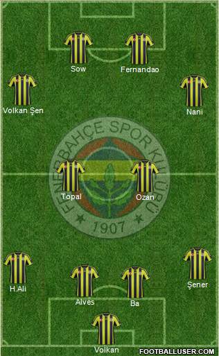 Fenerbahçe SK Formation 2015