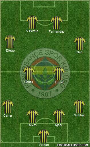 Fenerbahçe SK Formation 2015