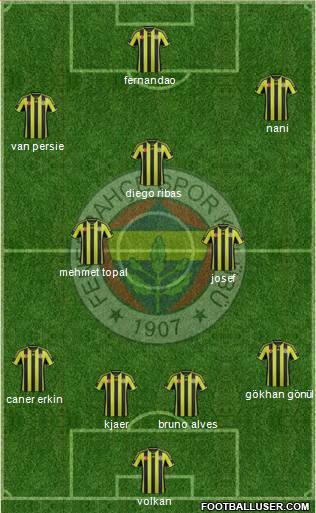 Fenerbahçe SK Formation 2015