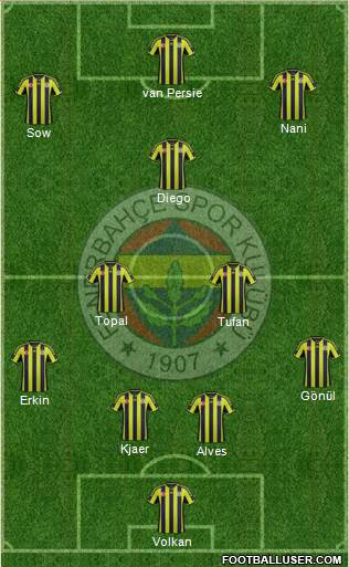 Fenerbahçe SK Formation 2015