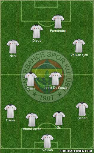Fenerbahçe SK Formation 2015