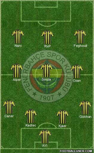 Fenerbahçe SK Formation 2015