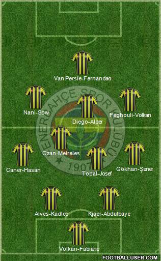 Fenerbahçe SK Formation 2015