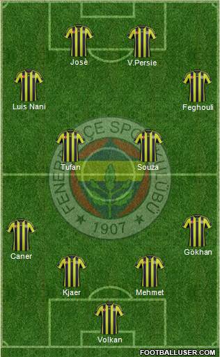 Fenerbahçe SK Formation 2015