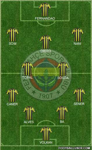 Fenerbahçe SK Formation 2015