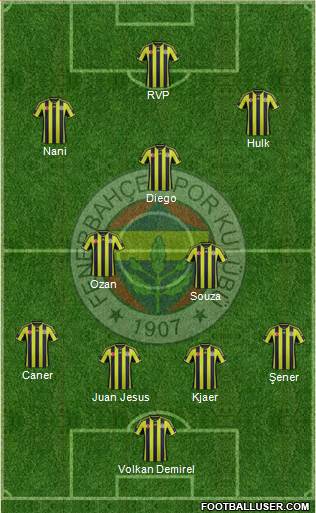 Fenerbahçe SK Formation 2015