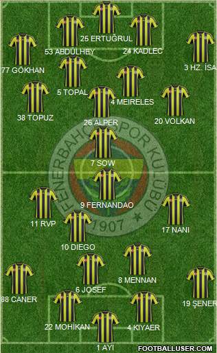 Fenerbahçe SK Formation 2015
