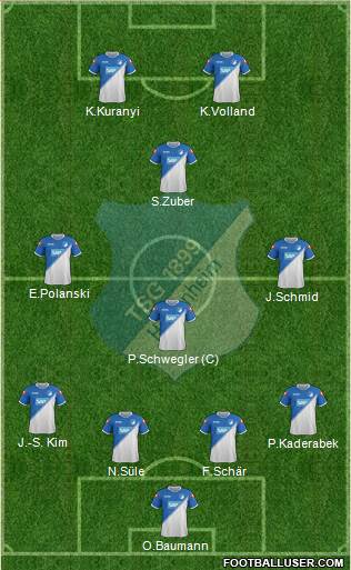 TSG 1899 Hoffenheim Formation 2015