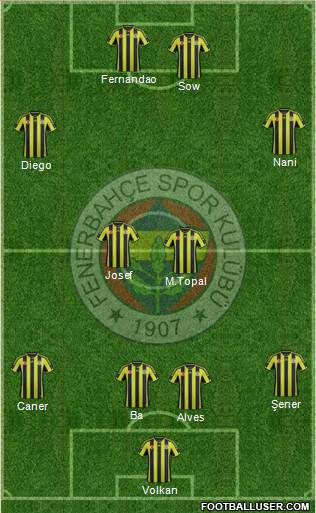 Fenerbahçe SK Formation 2015