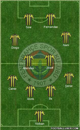 Fenerbahçe SK Formation 2015