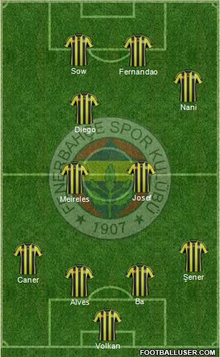 Fenerbahçe SK Formation 2015