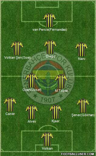 Fenerbahçe SK Formation 2015