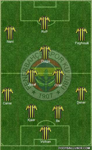 Fenerbahçe SK Formation 2015