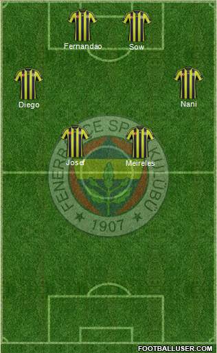 Fenerbahçe SK Formation 2015