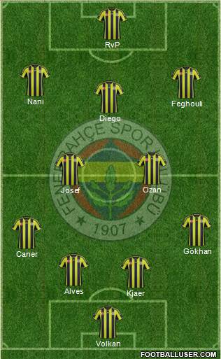 Fenerbahçe SK Formation 2015