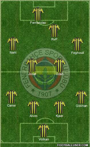 Fenerbahçe SK Formation 2015
