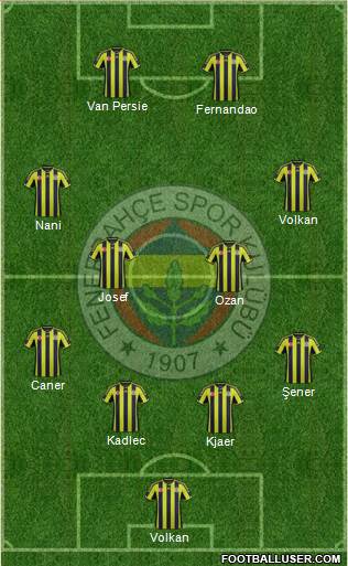 Fenerbahçe SK Formation 2015