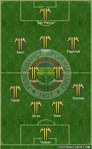 Fenerbahçe SK Formation 2015
