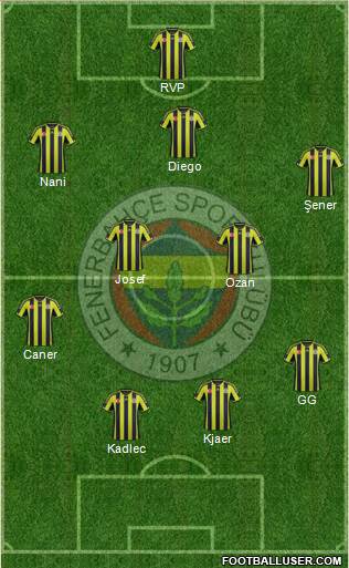 Fenerbahçe SK Formation 2015