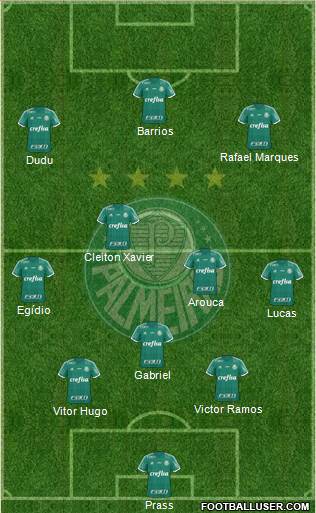 SE Palmeiras Formation 2015