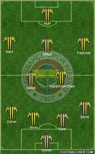 Fenerbahçe SK Formation 2015