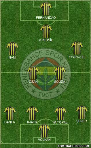 Fenerbahçe SK Formation 2015