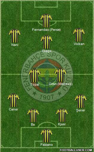 Fenerbahçe SK Formation 2015