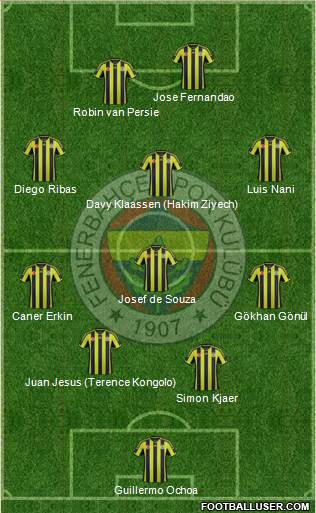 Fenerbahçe SK Formation 2015
