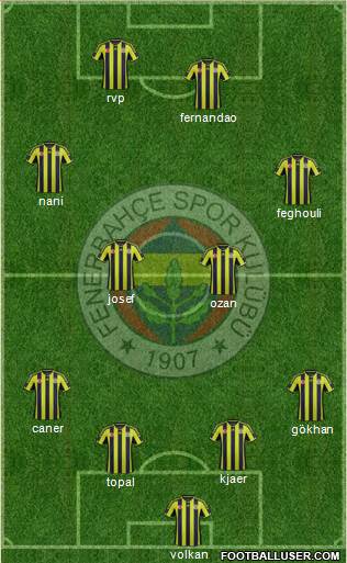 Fenerbahçe SK Formation 2015