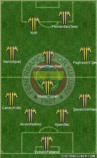 Fenerbahçe SK Formation 2015