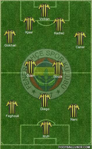 Fenerbahçe SK Formation 2015